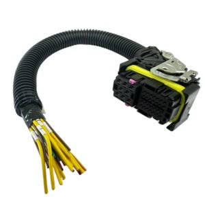 CHICOTE 36 VIAS, 1928404199 MODULO BOSCH EDC7, 24V